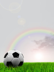 3d leather black and white soccer ball on green grass