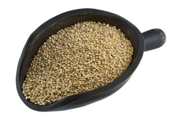 scoop of quinoa grain