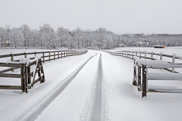 Snowy countryside driveway