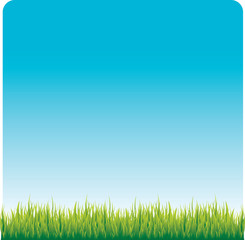 Obraz na płótnie Canvas blue sky and green grass