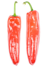 Baby Red Bell Peppers Isolated on White