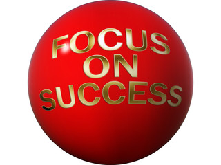 focus on success