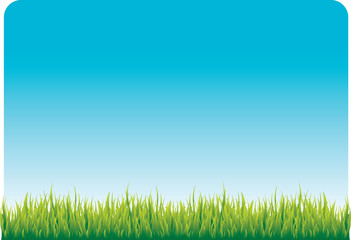 Fototapeta na wymiar clear vlue sky and green grass