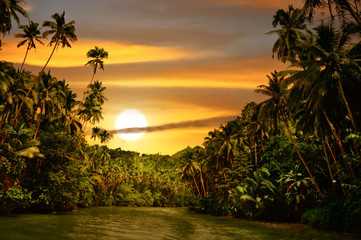 Rainforest River Sunset