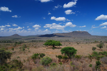 An African landscape