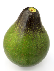 avocat à pointe brune