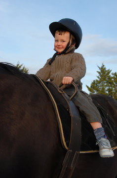 petit cavalier voltigeur