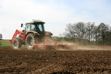 Fototapeta premium Bauer