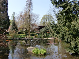Chinesischer Garten