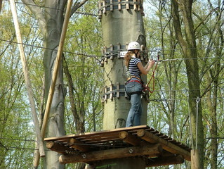 Im Baum