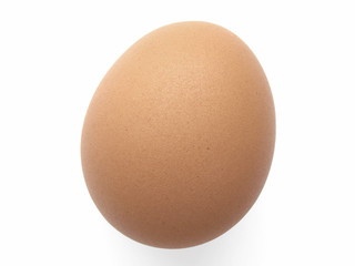 single dark hen egg