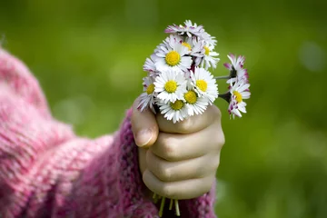 Cercles muraux Marguerites daisies - a gift for the mother