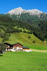 Fototapeta na wymiar Alpine chalet and meadows under the mountains