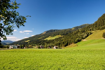 Fototapeta na wymiar Alpine chalets and meadows under the mountains