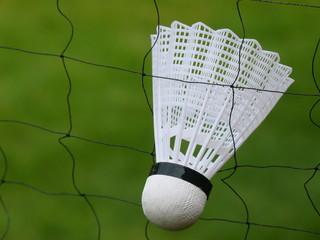 Federball im Netz
