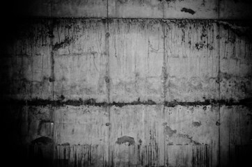 Fototapeta premium wall texture