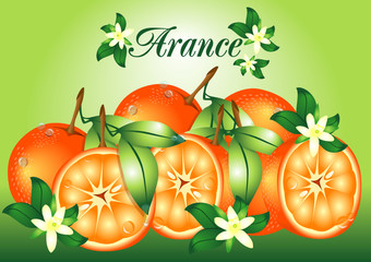arance e fiori d'arancio