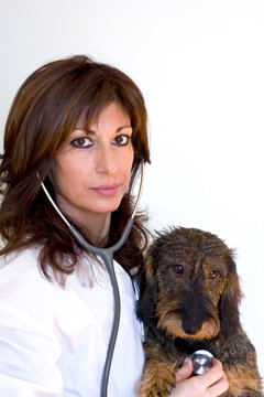 Cucciolo dal medico