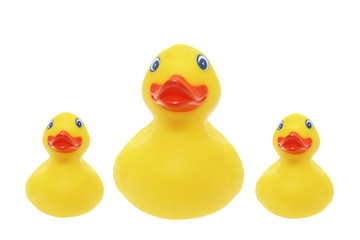 Rubber Ducks