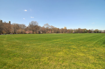 Early spring in the Central Park.