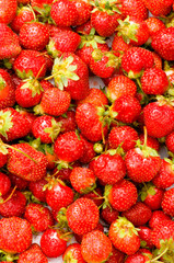 Fruit concept - red strawberries arranged as background