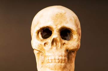 Human skull against dark background