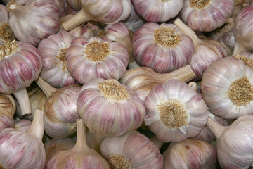 Knoblauch