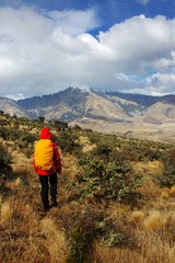 Hiker in New Zealand