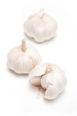 Garlic isolated on a white studio background.