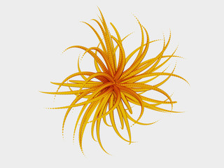 Fototapeta premium gold tentacles