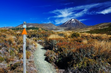 Vulcano Ngauruhoe - Tongariro NP