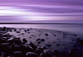 Purple Pebble Beach