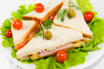 Fototapeta na wymiar Eating on the run. Fresh and tasty home-made canape sandwiches