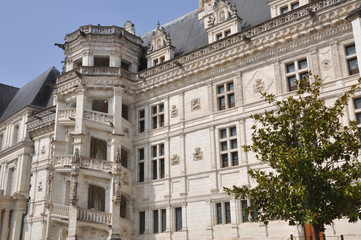 Fototapeta na wymiar Zamek Królewski w Blois, Francja