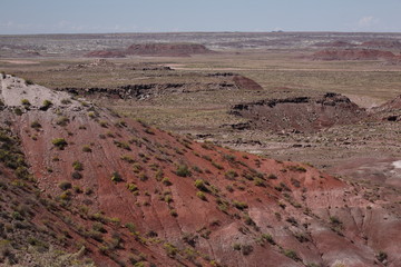 Barren desert landscape in Petrified Forest National Park.