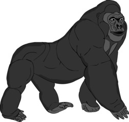 Gorilla wild illustration clipart