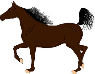 horse illustration clipart