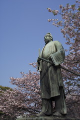 和気清麻呂像と桜　