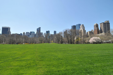 Fototapeta na wymiar Early spring in the Central Park.