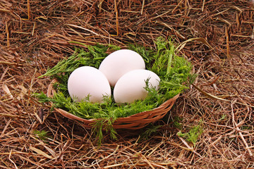 Eggs in hay