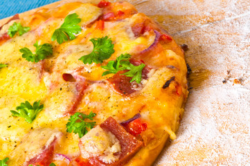 cheese and tomato pizza