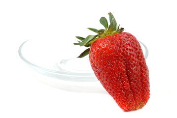 Erdbeere