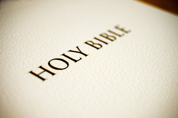Holy Bible cover