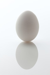 Ei_Huehnerei_weiss
