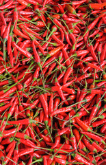 Fototapeta premium background of red chillies