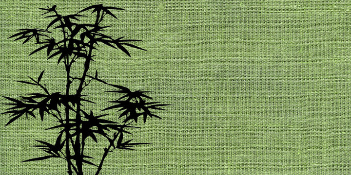 bambou et toile verte