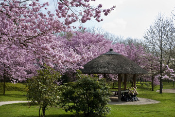Japanese Garden, Hasselt, Belgium