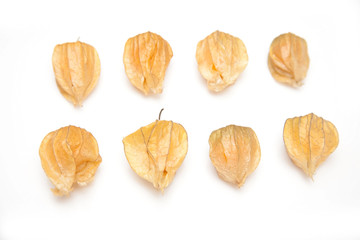 Physalis isolated on a white studio background