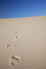 footprints in desert