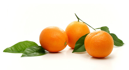 Oranges